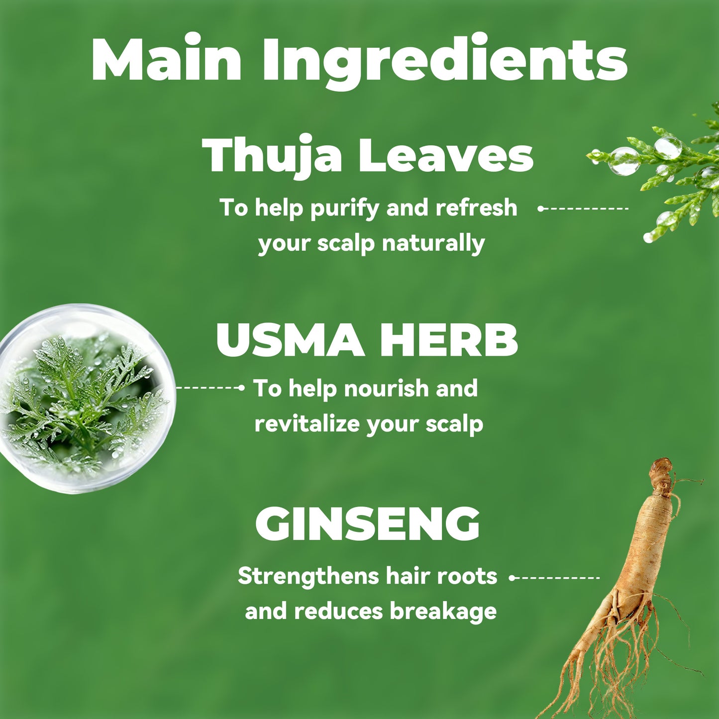 Herbal Shampoo Bar with Usma Herb, Thuja Leaf & Ginseng – Gentle Haircare Cleanser, Solid Soap for Daily Use